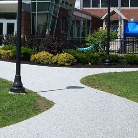 美术颜料;涂饰剂;色精