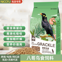 NC�˸���ʳ�����Ӹ�����ʳ�����ϰ�����ʳ���������ϳ�����������