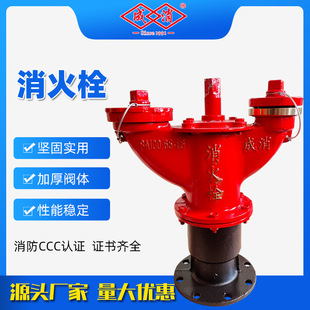 �S��ֱ�N�������������������˨SA100/65-1.6 ����˨ ���Q����