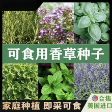 �羳��̱��ɷN���Ѱ�����N���ͺ��{�����ͥԺ�̨�ͺ�����ֲ��