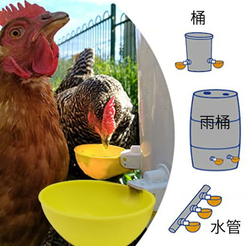 New-style chicken water bowl, automatic poultry drinking bowl, chicken drinking cup, automatic chicken drinker, chicken water dispenser—factory supply for cross-border markets