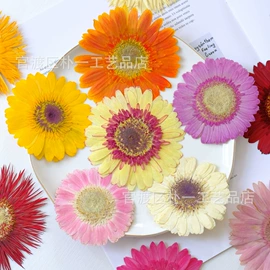 干花;贺卡;永生花