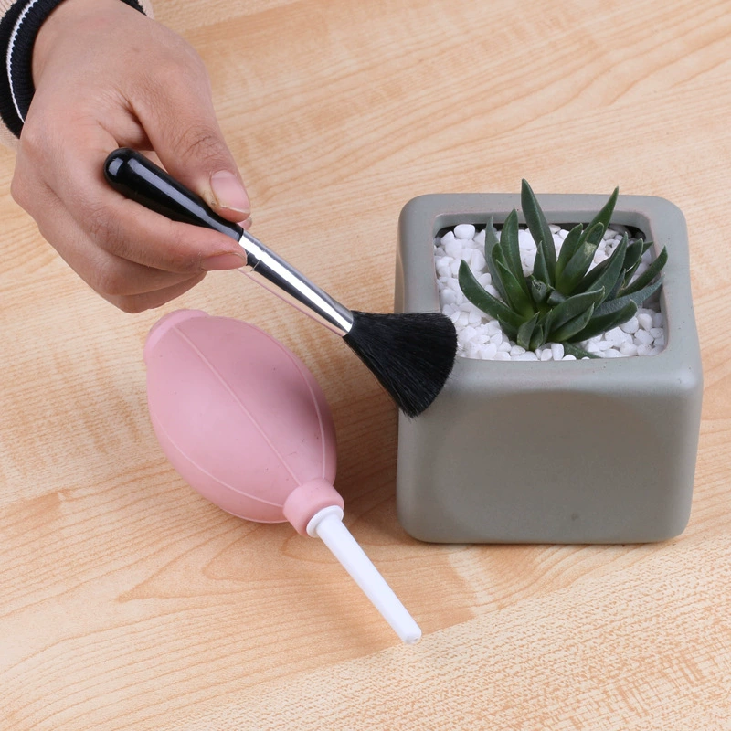 Мясистая щетка для чистки Мягкая щетка Садовые принадлежности Мясистые инструменты Кисть Внекорневая щетка для пыли Специальная щетка для растений