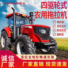 �|���tLMA2004-C�����C �����Q�������Q������  ���R�������C