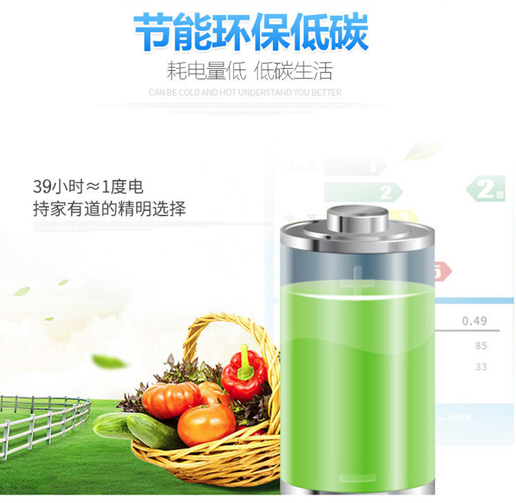 20L Mini Refrigerator for Car and Home Use, Small Single-Door Refrigerator for Dormitory and Apartment, Two-Person Cooler, Car Refrigerator Wholesale