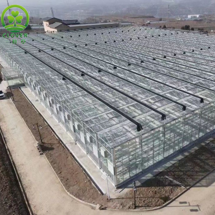 厂家直供智能玻璃温室连栋薄膜温室大棚骨架承接工程蔬菜种植大棚