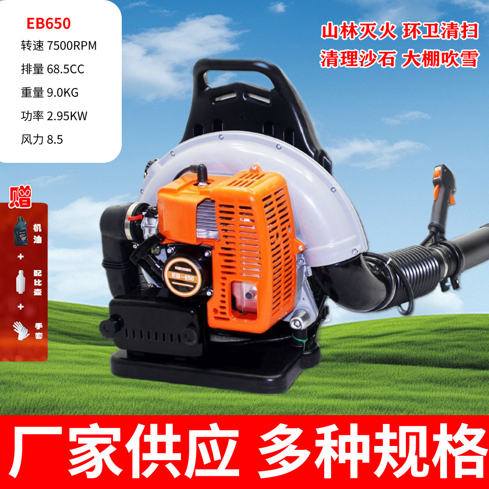 EB650 2행정 고출력 헤어드라이어