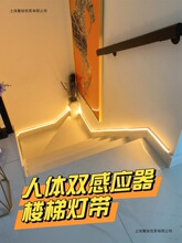 ���ݟo����ճ�p�^���_̤�����������^�����l���_���Ⲽ���Б���