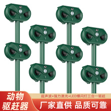�¿�2024�羳���� ̫��ܳ����s�� LED����t�⾀��s���� ��B