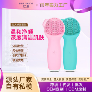 Hot-Selling Portable Handheld Electric Silicone Facial Cleansing Brush Pore Cleaning Massage Ultrasonic Facial Cleanser