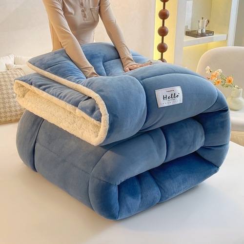 Cross-border exclusive lamb wool and cotton quilt core winter quilt double-sided fleece thickened warm student dorm single bed winter