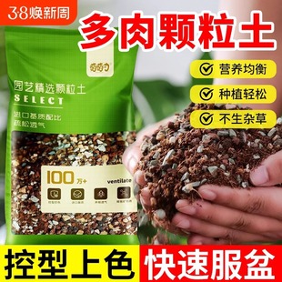 Fleshy Granular Soil Fleshy Soil Special Nutrient Soil Planting Soil Mud Potted Plant Paving Stone Pure Granular Flower Soil Free Shipping