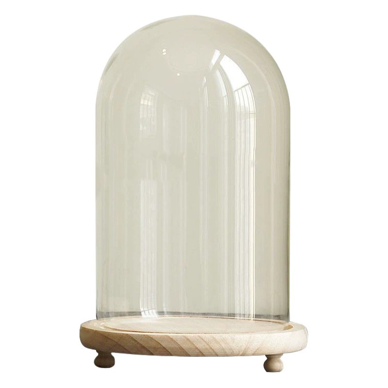 Фабрика прямые поставки прозрачный вечный цветок стеклянная крышка творческие ремесла настольные украшения игрушка стеклянная ваза пылезащитный чехол