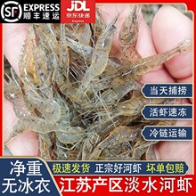 小河虾淡水鲜活冷冻新鲜青虾湖虾水产小虾醉虾小海虾小青虾天然