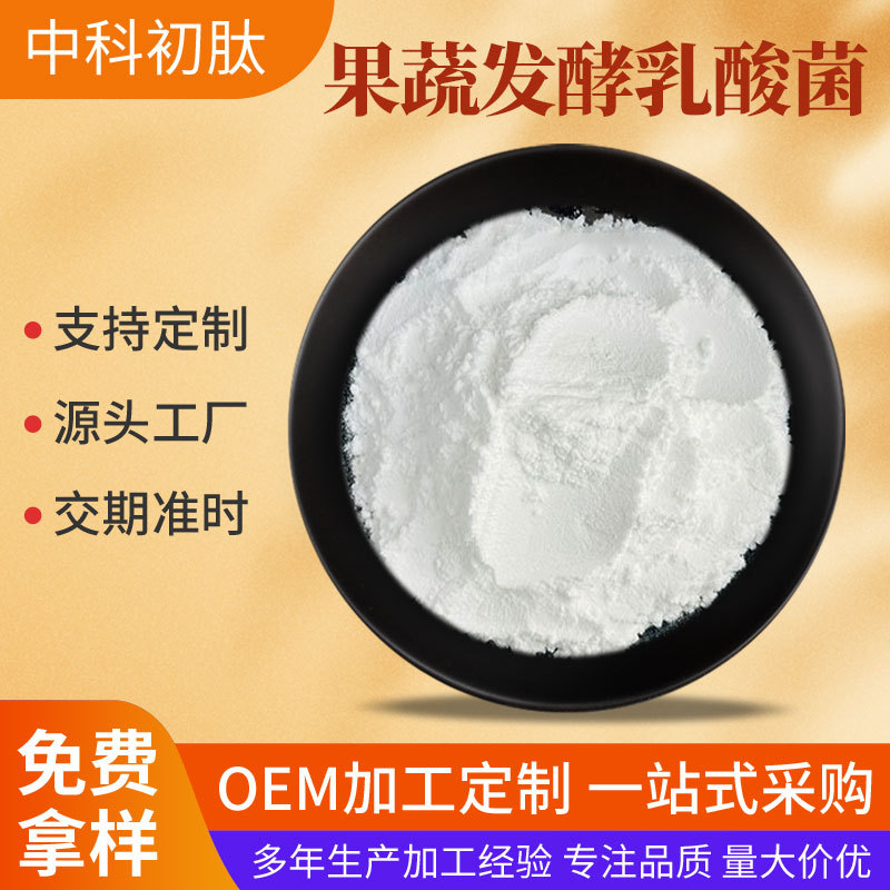 果蔬发酵乳酸菌 多规格乳杆菌酵素发酵菌果蔬酵素益生菌 量大从优
