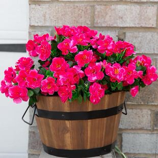 �羳����С���N������Gֲ ��c�Ҿ��bٻ��������@�@ˇ�[��