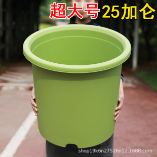 ���l����̖����Ӻ�25�Ӂ�7�Ӂ��ش����Թ���ͥԺ����ֲ���¼���
