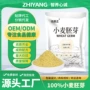 营养高蛋白早餐500g代餐粉