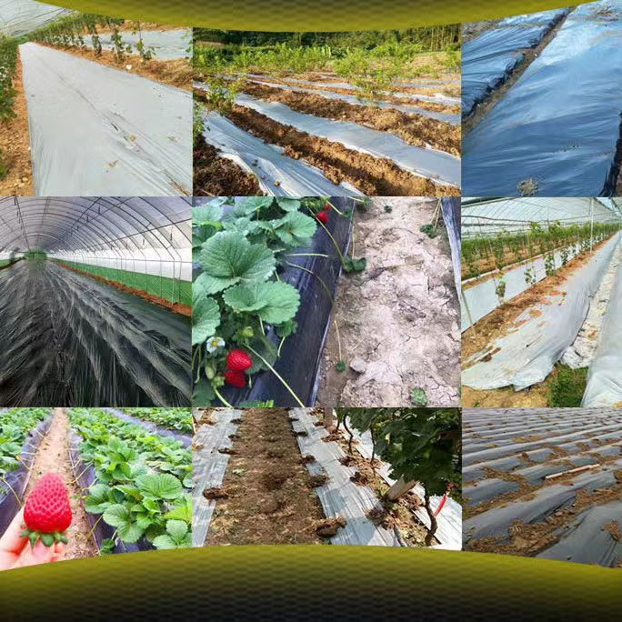 微信图片_20221102195600