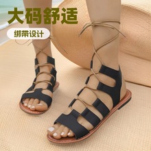 2025羳Rdׁɳ_RЬ¿ļƽ׽潉Ьa