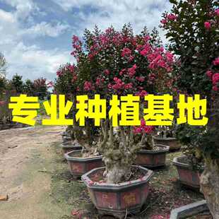���Ϻ�����ޱ�䘶��ޱ�Ř�������ޱ�������l ������ޱ��ռ�ؘ�