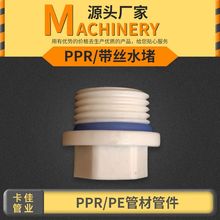 PPR���z���^�S�ҬF؛���l �Ӻ�ƤȦ��zPPR�oˮ�ܶ��^�S�����l