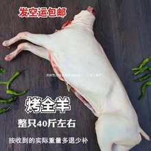 ���ɹ��������r�F�����\���]ȫ��8-50����ֻСȫ������Ƶ꿾ȫ��