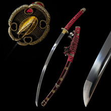 Ql̫iձʿӺLһwTachiδ_