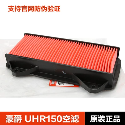 Genuine, Air filter