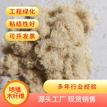 ����ľ�|�w�S ľ�|�w�S�� ���ٹ�·�����G���Vɽ�ޏ�ľ�w�S