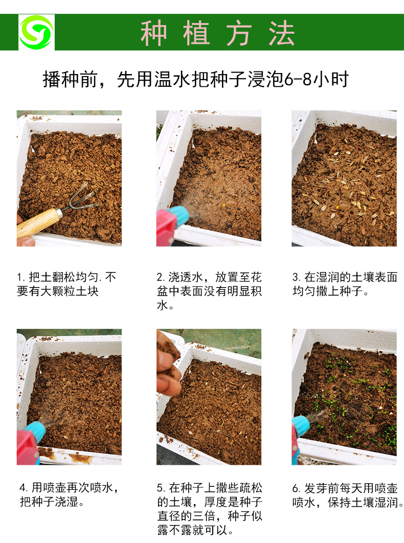 ��ֲ����