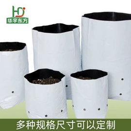其他塑料薄膜;种植包装