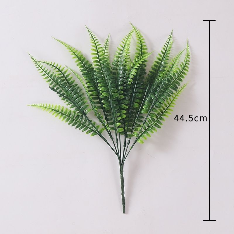 Persia de hoja larga verde