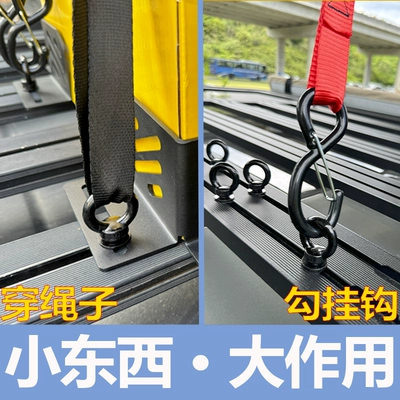 Roof rack Anchor Points, Snow Leopard