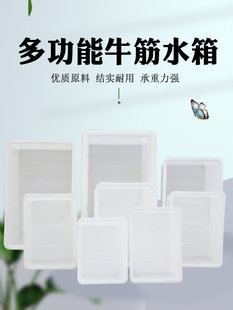 Rectangular Thickened Plastic Water Tank for Fish and Turtle Farming, Aquaculture Tank, Household Soaking Tile Sink