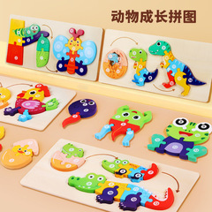 Wooden 3D Animal Puzzle Toy for Children, Evolving the Animal Growth Process