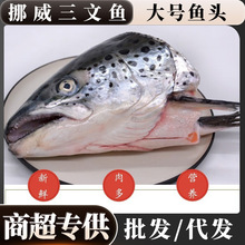 挪威三文鱼大号鱼头大西洋鲑鱼商用批发海鲜三文鱼头商用代发批发