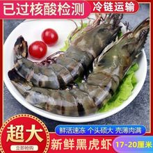 超大新鲜黑虎虾鲜活大虾海捕越南斑节虾海鲜海虾虾冻虾批发