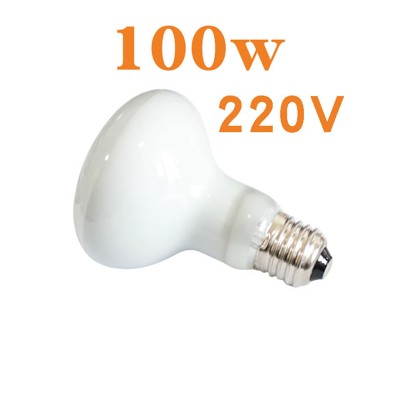 R80 열대우림 일광 램프 220V 100w