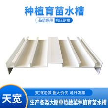 大棚草莓蔬菜种植育苗水槽PVC塑料槽种植槽阳台种植箱阳台农场