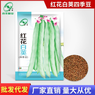 �t�����v�ļ����N��30g �ײ��϶��ǷN�������N���߲˷N�яS�����l