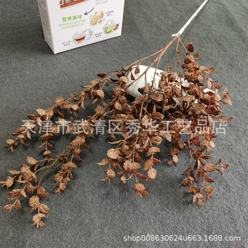 민트 리프 다크 브라운