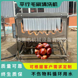 商用栗子平行毛辊机 板栗平行毛辊清洗机 高压喷喷毛刷清洗清洗