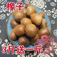 野山橡子 橡籽 橡实 栎树果 橡果橡栗非1斤包邮 买3斤送1斤真货好