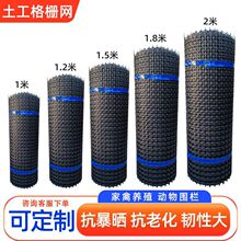 跨境塑料养殖网鸡丝网栅栏户外菜园鸡鸭多功能防护网加厚塑料围栏