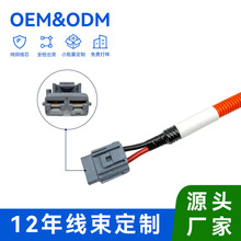 ����Դ��܇���{���s�C�߉���1000V EV��܇�Ȳ��߉������ӹ�����