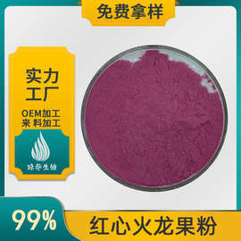 红心火龙果粉 火龙果粉 琼华生物供应 食品级 量大优惠 火龙果粉