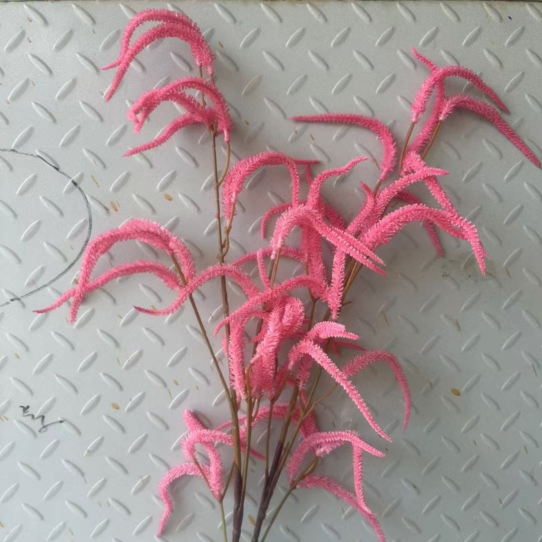 분홍색