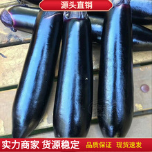 �L���ӷN�ѷN����A����ɫ�L���ش�޽������ļ����������߲�����