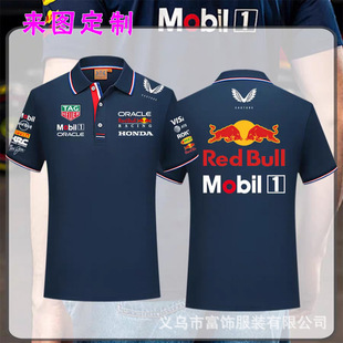 �¿�F1�t�׹���ţ܇꠷�ͬ��POLO�������̄�T���������ļ��Ќ���